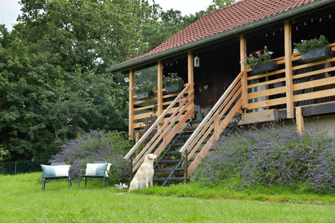 Chevigny  Le Chalet D'Eliot מראה חיצוני תמונה